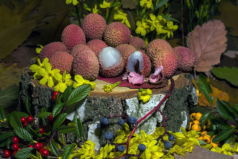 fruits, lychee, berries, flowers, still life, flowering plant HD wallpaper
