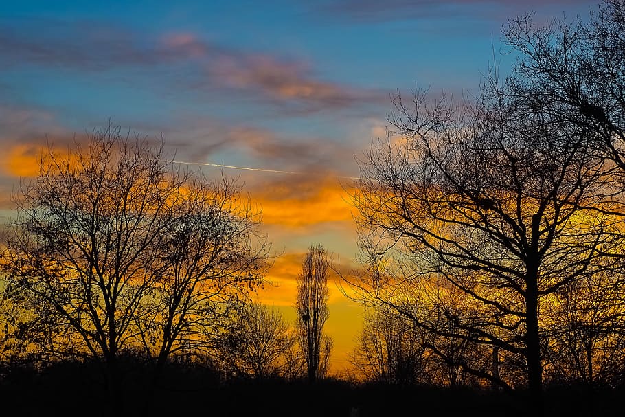 trees during sunset, landscape, nature, sky, evening sky, afterglow HD wallpaper