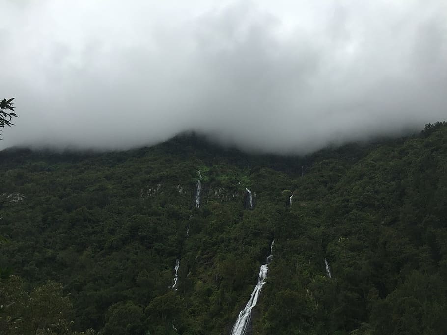 fog, landscape, mountain, nature, outdoors, rainforest, scenic HD wallpaper