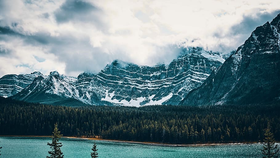 body of water beside forest and mountain covered with snow, body of water beside pine trees and ice capped-mountain under white cloudy skies HD wallpaper