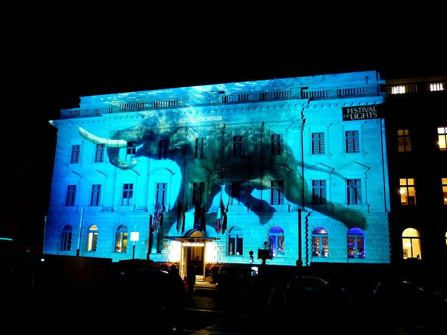 berlin, image, night, darkness, wall, tourism, projection, festival of lights HD wallpaper