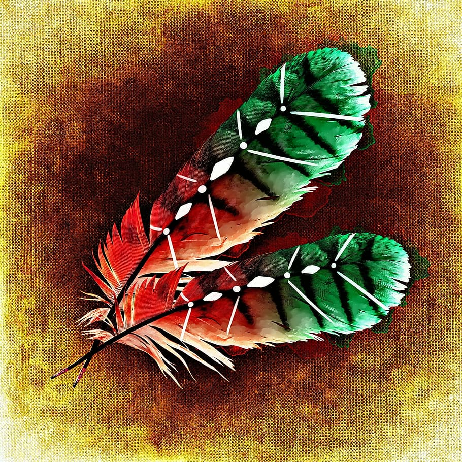 brown-and-red feathers illustration, bird feathers, abstract HD wallpaper