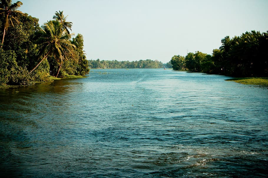 Backwaters, India, Kerala, Palm, houseboat, boot, tree, nature, HD wallpaper