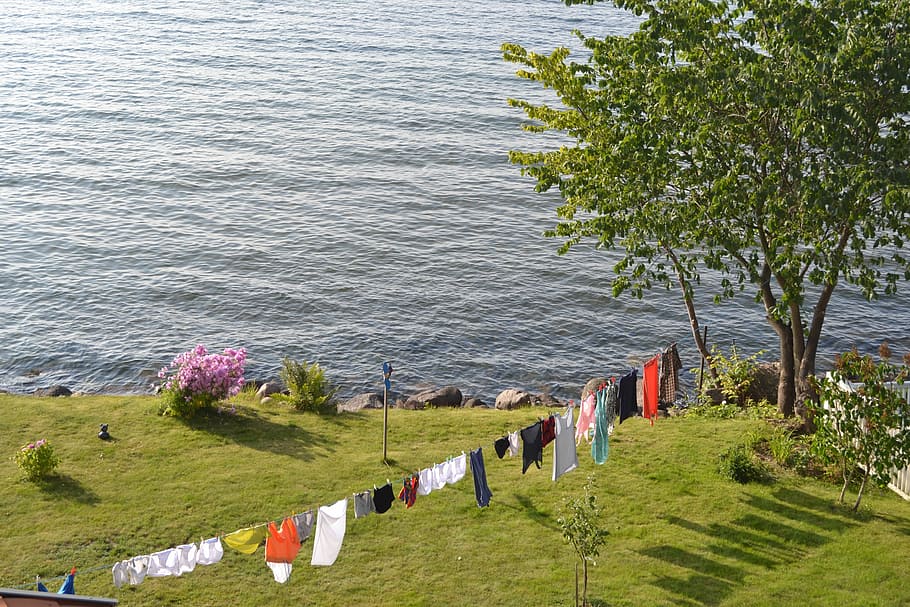 Clothesline, Washing, Summer, sea, nature, grass, beach, outdoors HD wallpaper