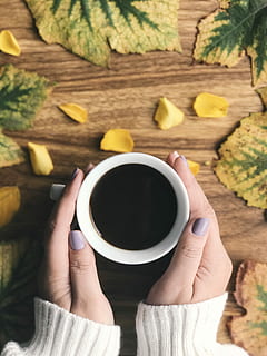 person holding cup filled with coffee, woman holding mug of coffee HD wallpaper
