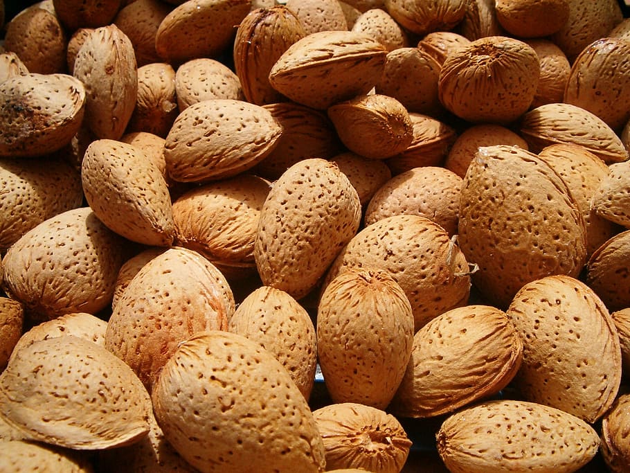almond, shell, corrugated, drupe, nut, food, nutrition, snack HD wallpaper