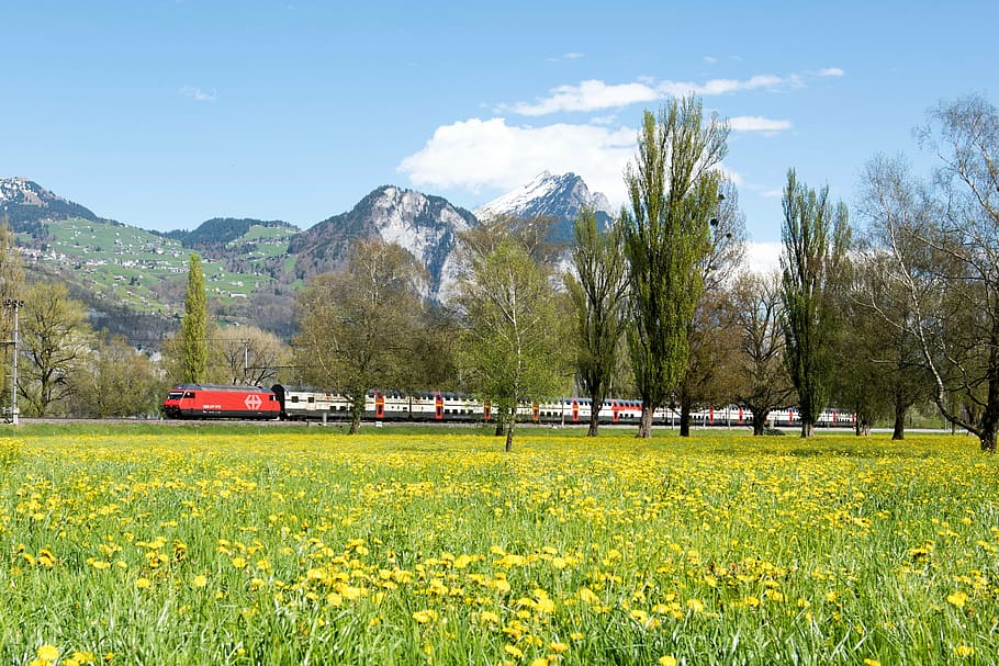 spring, switzerland, landscape, glarus, trees, canton of glarus, HD wallpaper