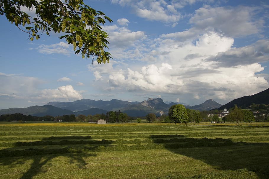 Spring, Sunshine, Mountains, Trees, may, nature, landscape HD wallpaper