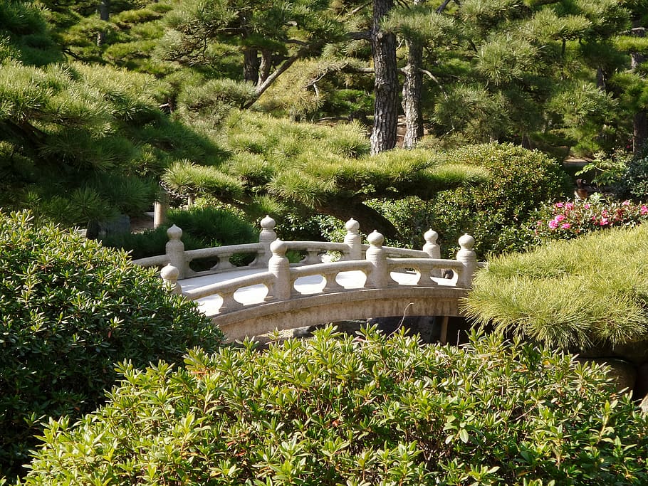 japanese, garden, bridge, traditional, zen, green, niwa, takamatsu, HD wallpaper