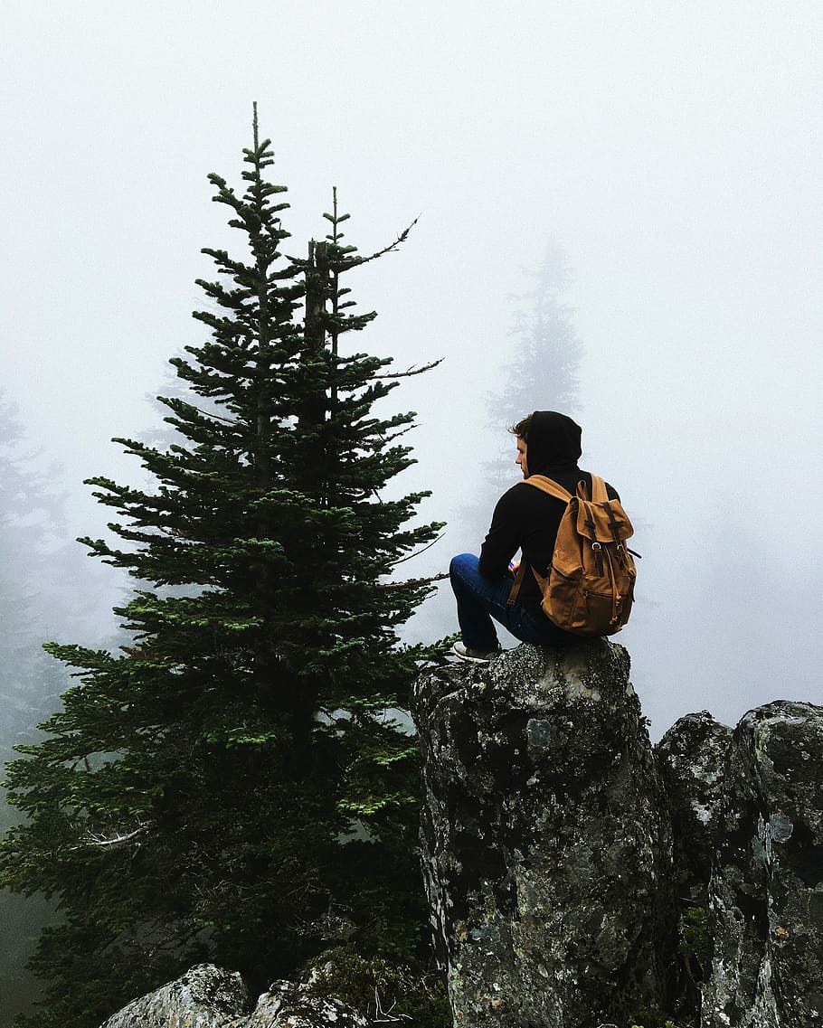 close up photo of man sitting on the rock in front of pine tree HD wallpaper