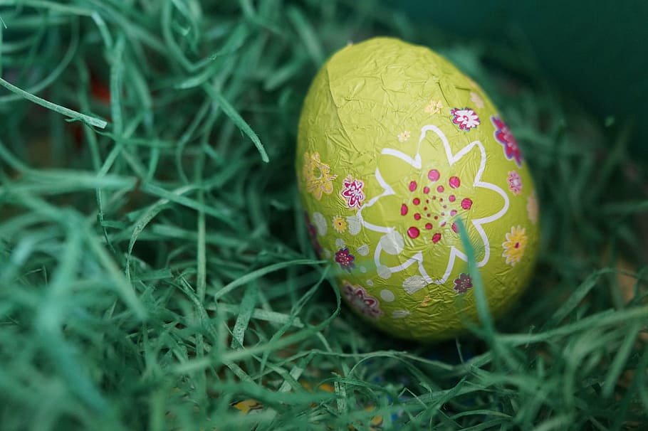 sallow focus photography of green floral Easter egg, easter nest HD wallpaper