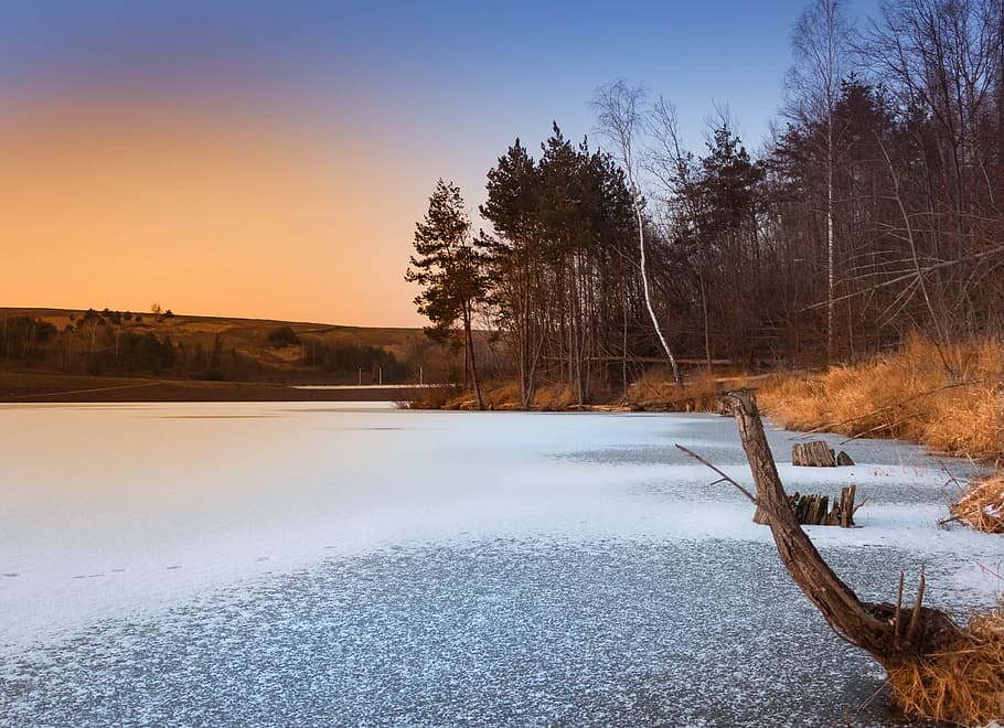 winter, sunset, snow, landscape, tree, cold temperature, plant HD wallpaper