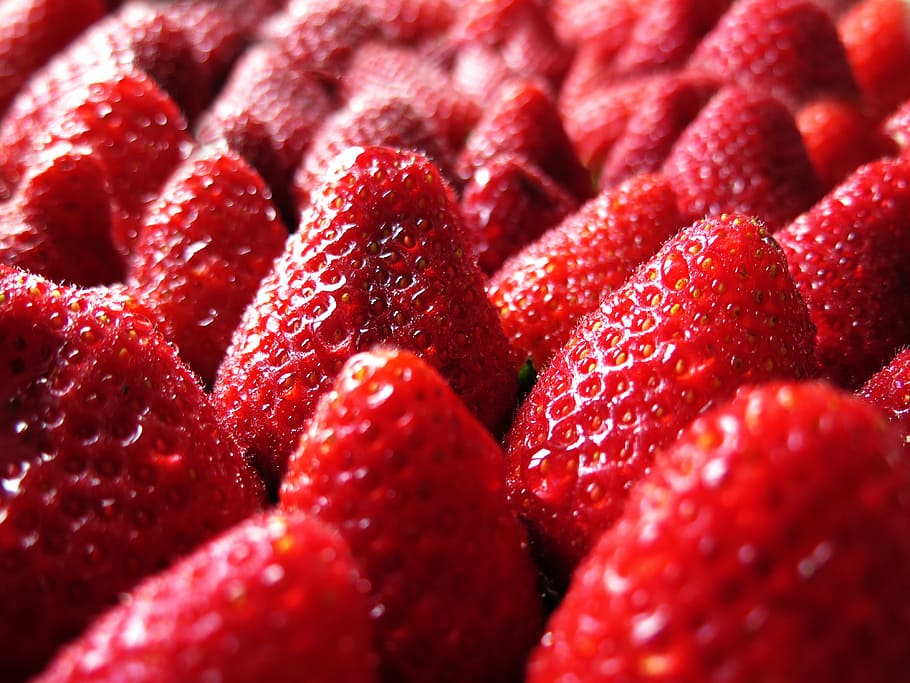 strawberries, strawberry, red, spring, sweet, fruits, ripe HD wallpaper