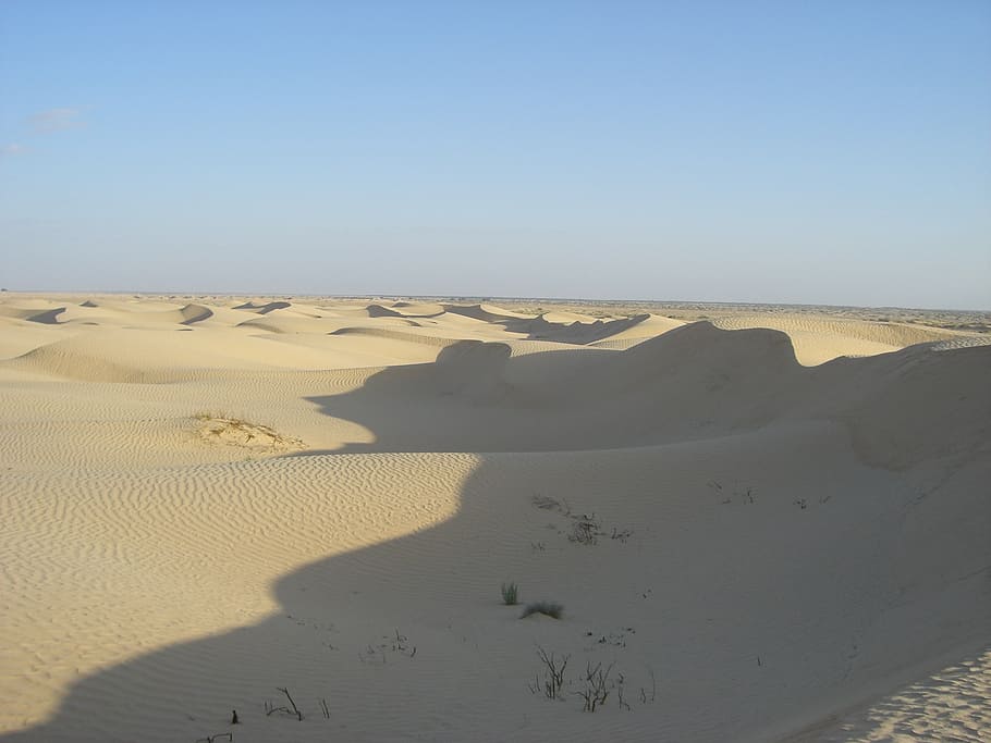 dune, tunisia, desert, sand, sand Dune, dry, nature, landscape HD wallpaper