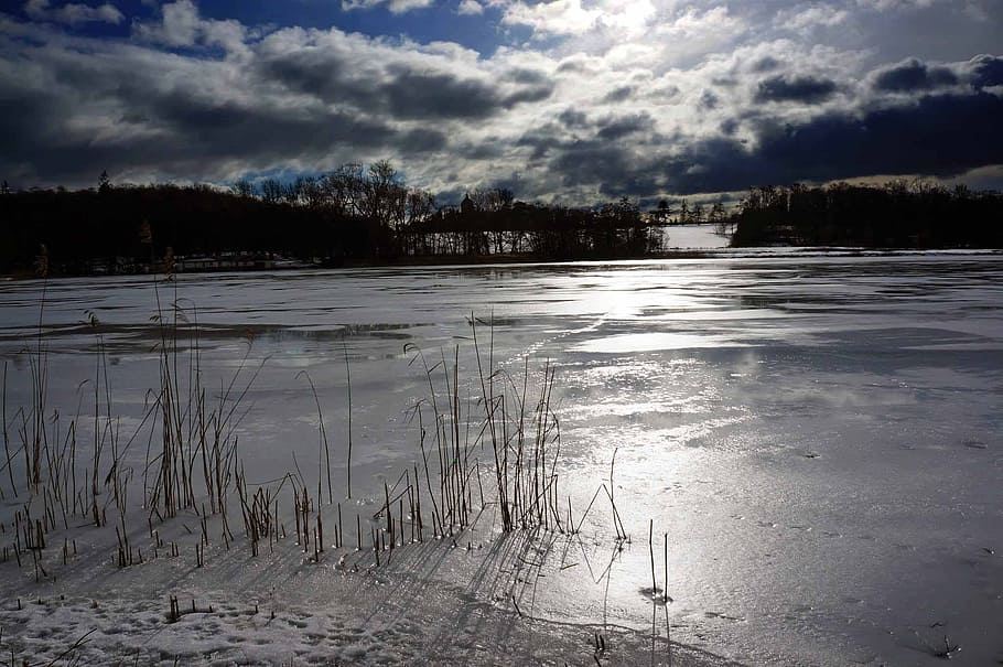 ice, winter, clouds, snow, cold, frost, nature, light, landscape HD wallpaper