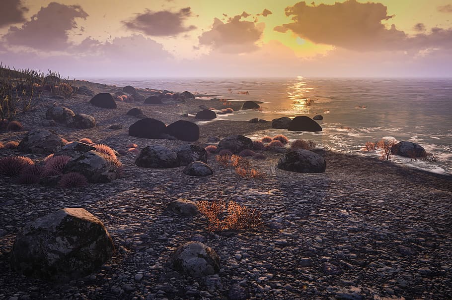 landscape photo of seashore during golden hour, ocean, island HD wallpaper