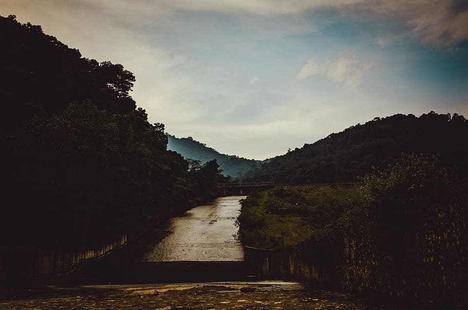 road surrounded with trees, person taking photo of mountain, river HD wallpaper