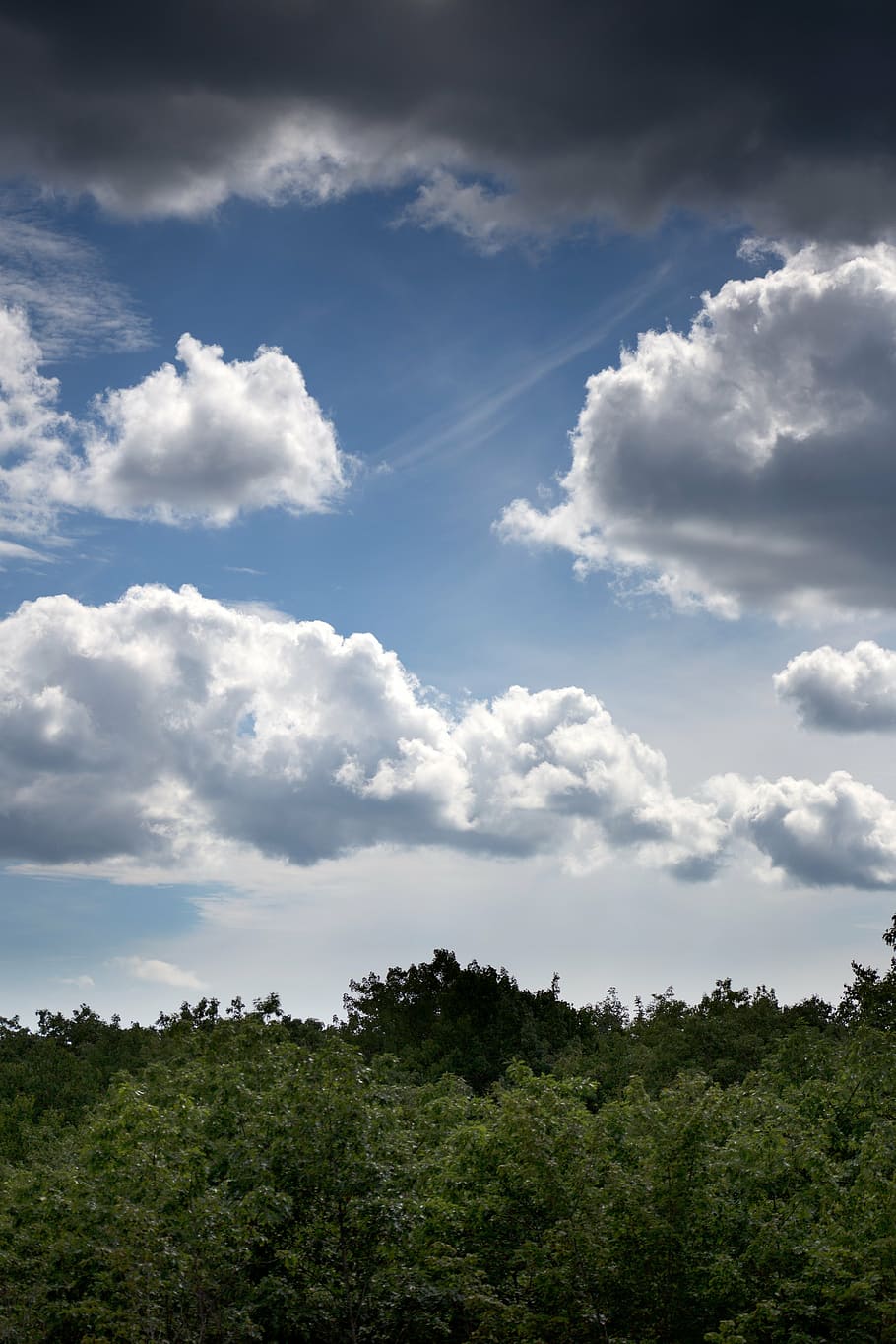 clouds, landscape, nature, sky, summer, trees, cloud - sky HD wallpaper
