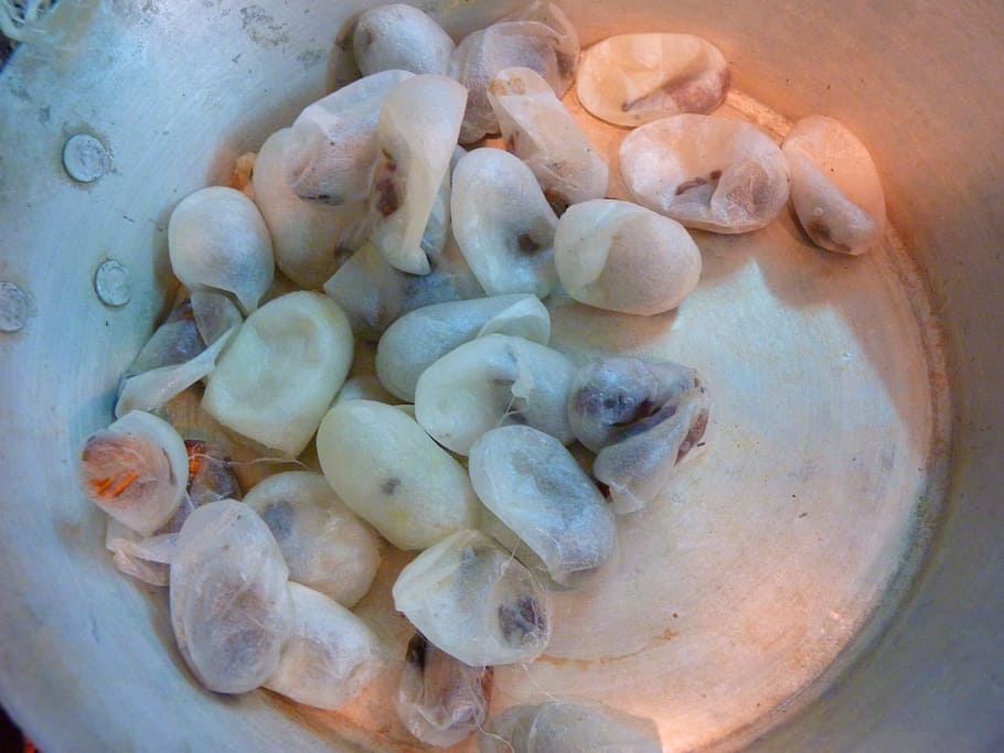 silkworm cocoons, track, cooked, silk production, food, food and drink HD wallpaper