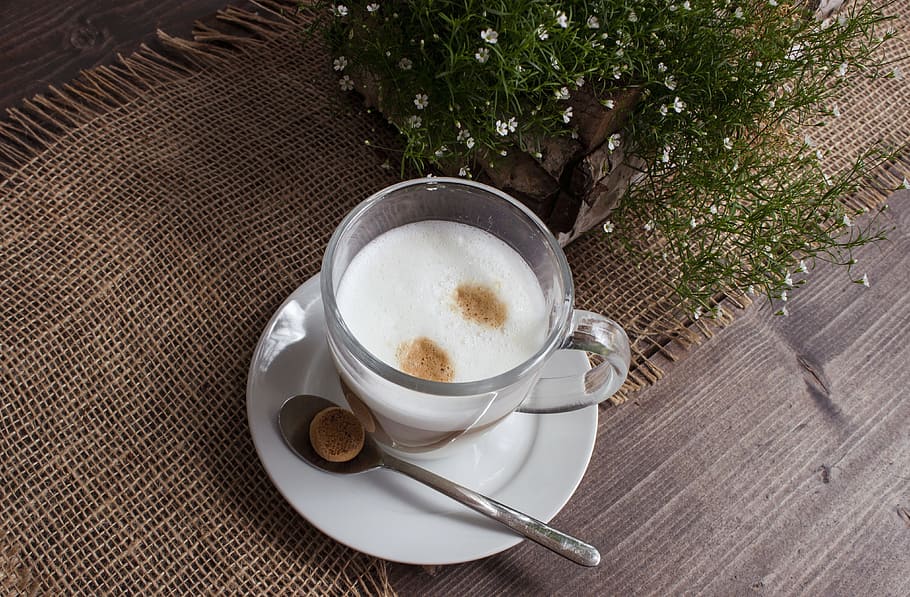 Drink, Biscuit, Coffee Cup, drink coffee, stimulant, foam, hot drink HD wallpaper