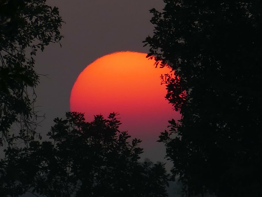 sunset photography, red, sky, afterglow, evening sky, orange HD wallpaper