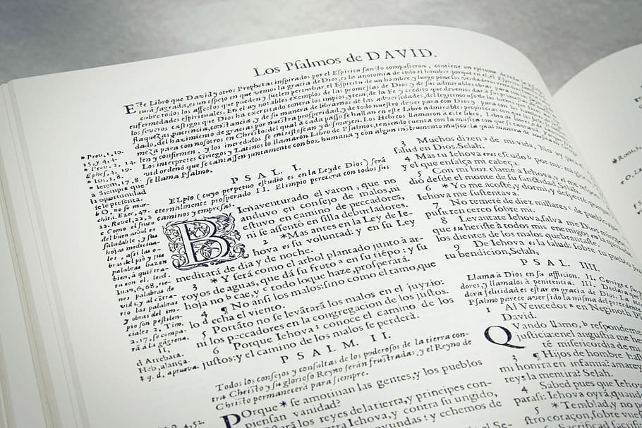 book page, closeup photo of opened book, reading, spanish book HD wallpaper