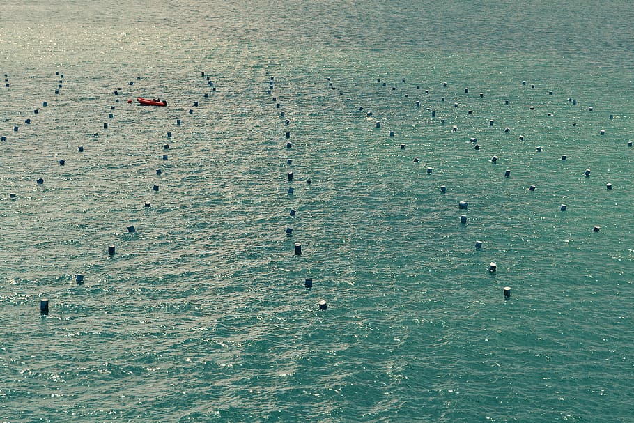 photography of orange boat near body of water, black, buoys HD wallpaper