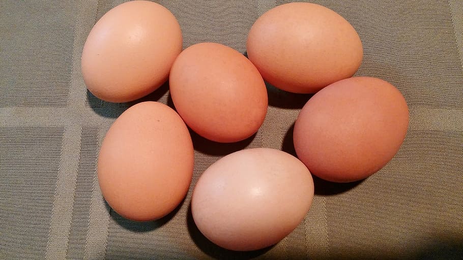 eggs, brown, food, shell, oval, chicken, nutrition, animal Egg HD wallpaper