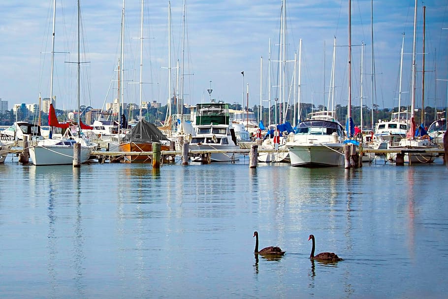 matilda bay wa right, boats, blue, reflections, water, river, HD wallpaper