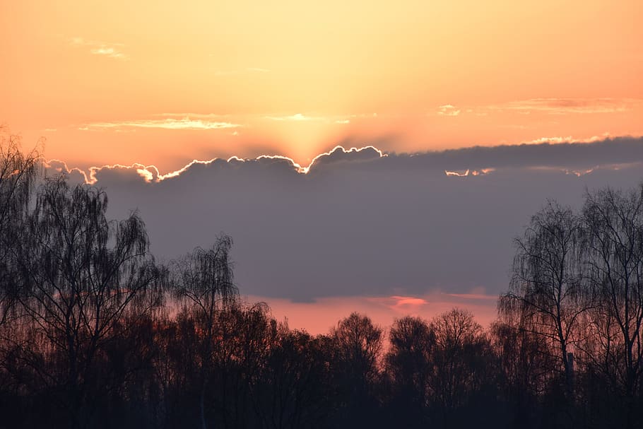 Sunrise, Light, Nature, Sky, morning, landscape, morgenrot HD wallpaper