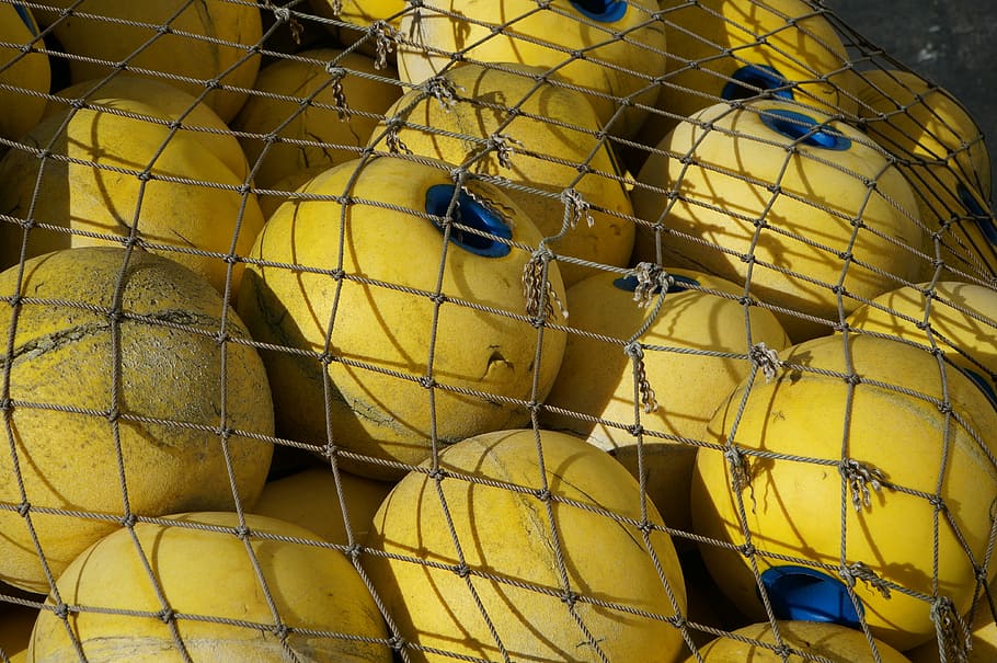 fish, net, float, catch, fishing, commercial, industry, outdoor HD wallpaper