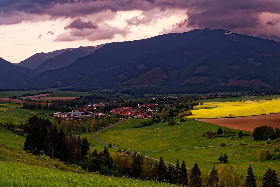 the sky, clouds, spring, village, path, meadow, field, colza HD wallpaper