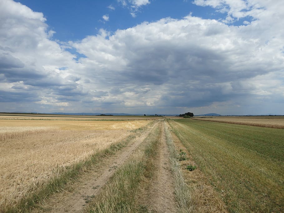 Horizon, Flat, Sunny, Summer, sky, wide, landscape, nature HD wallpaper