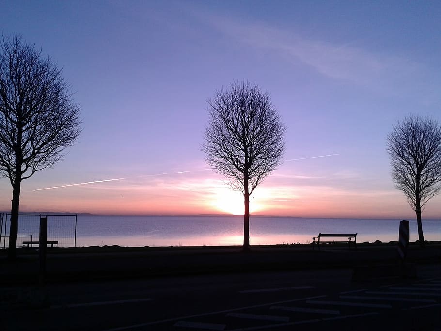 Natural, Sunrise, Trees, sunset, silhouette, beauty in nature HD wallpaper