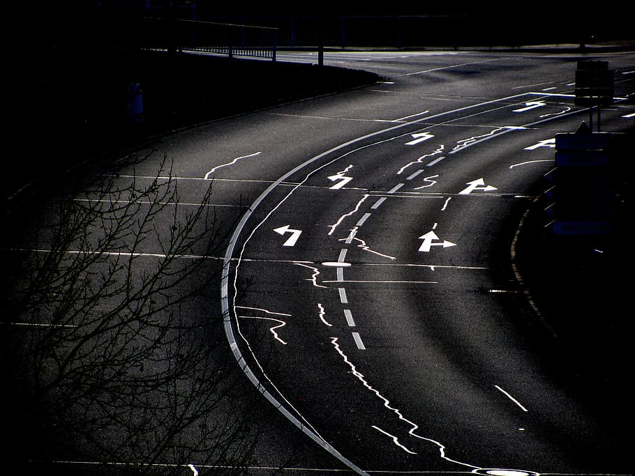 road near bear trees, roads, curves, streets, darkness, curved HD wallpaper