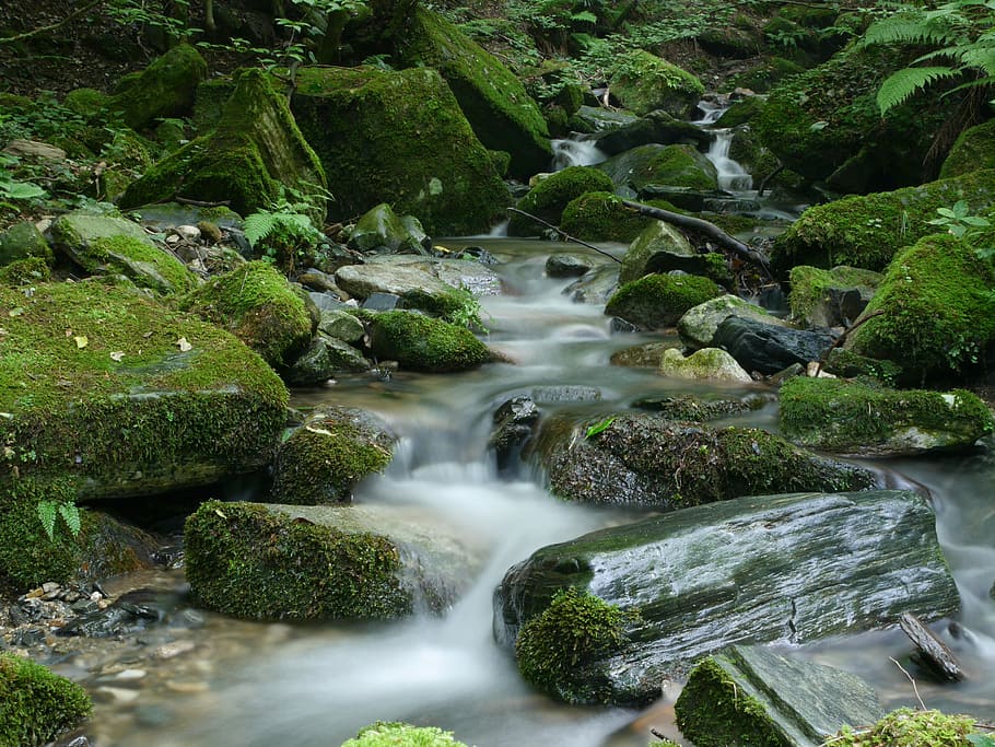 time lapse photography ofwater stream, waterfalls surrounded by rocks HD wallpaper
