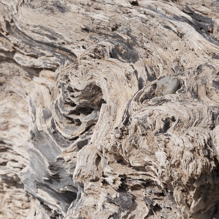invoice, tree, dried, dry, model, cracked, log, pulp, cracks HD wallpaper