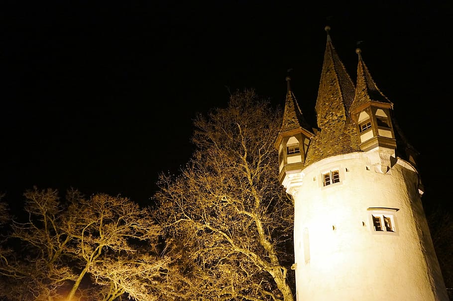 night, tree, building, tower, yellow, winter, dark, mystical HD wallpaper