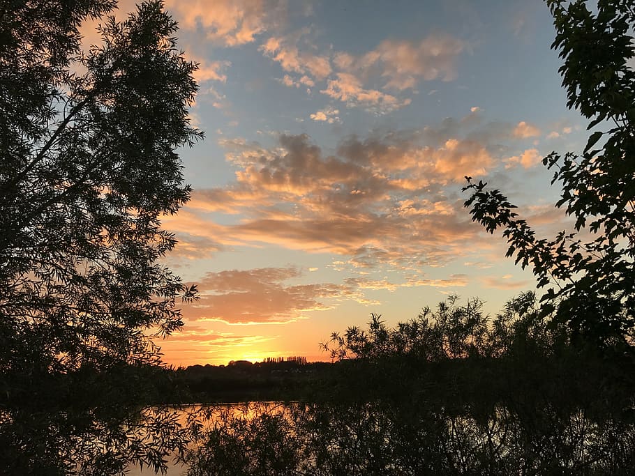 nature, clouds, trees, landscape, sun, sunset, reed, air, heaven HD wallpaper
