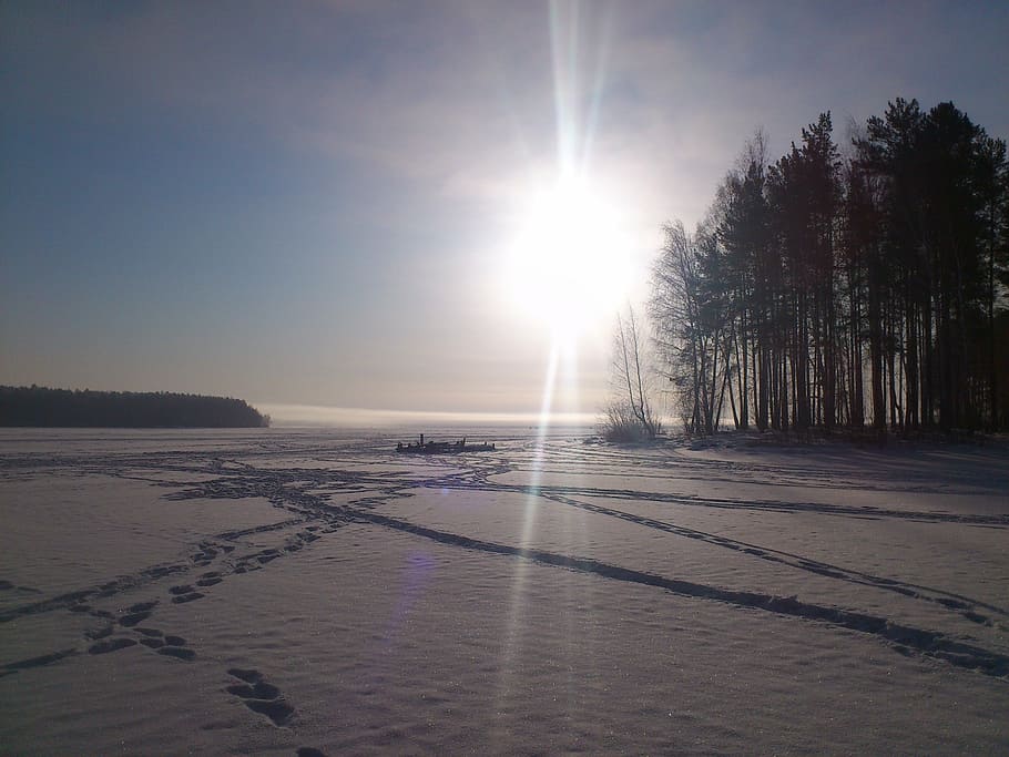 winter, sun, snow, silence, landscape, nature, sky, sunlight HD wallpaper