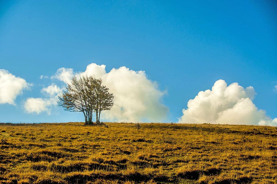 plant, mountain, mountain landscape, clouds, sky and clouds HD wallpaper