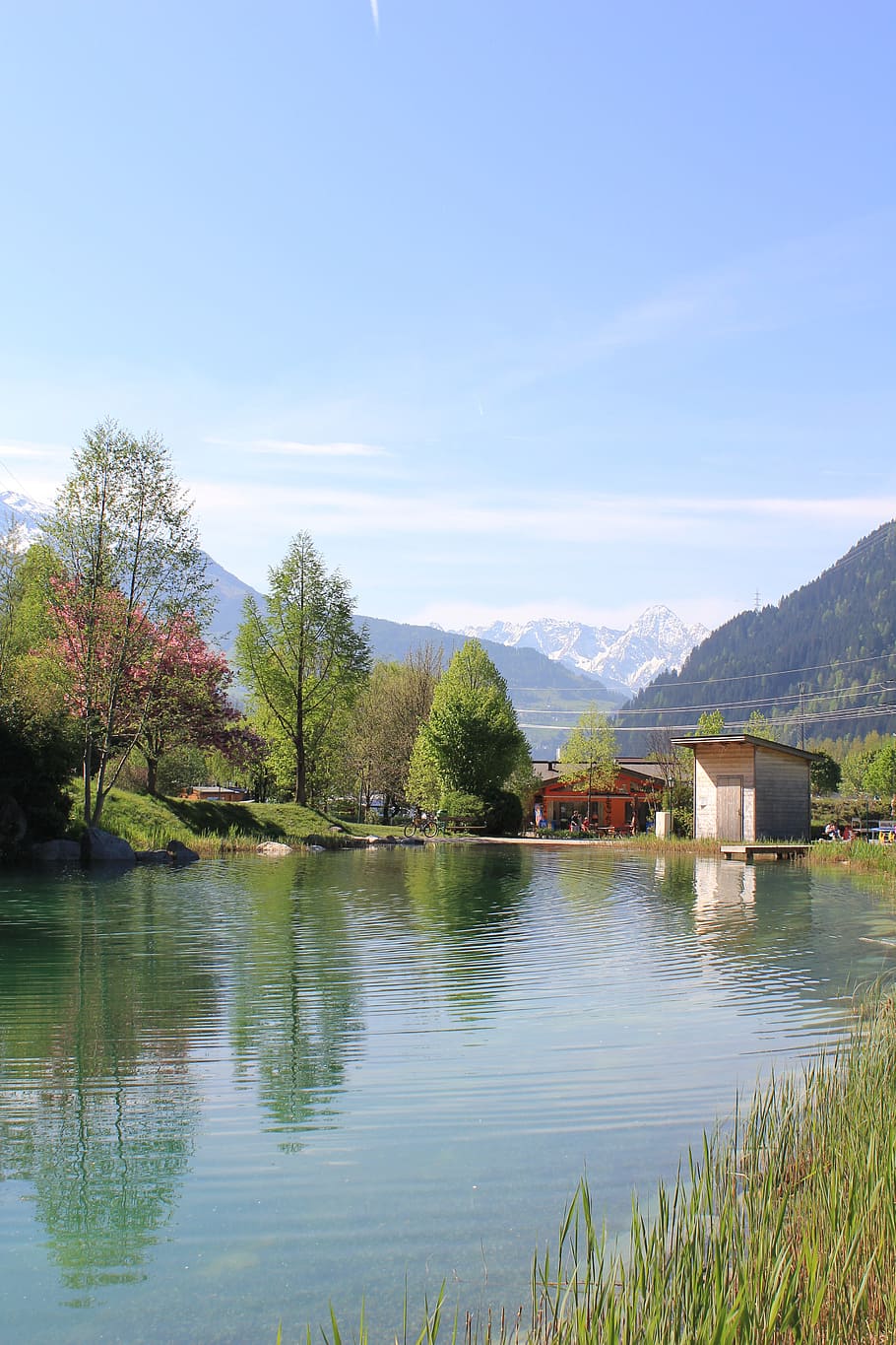 Lake, Mountains, Landscape, Forest, nature, view, austria, blue HD wallpaper