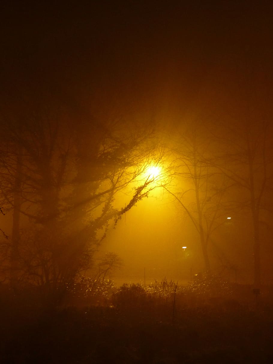 Fog, Night, Light, Lamps, Gloomy, Creepy, blacked out, slurry, HD wallpaper