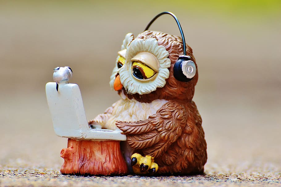 closeup photography of brown owl wearing headphones using laptop figurine HD wallpaper