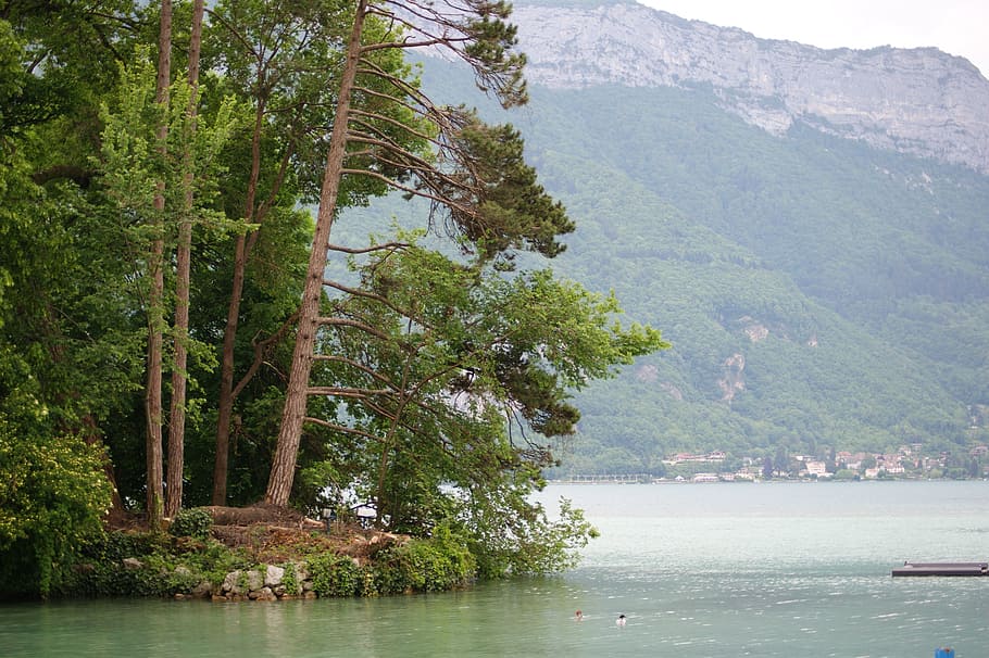 body of water and green trees, mountains, landscape, lake, river HD wallpaper