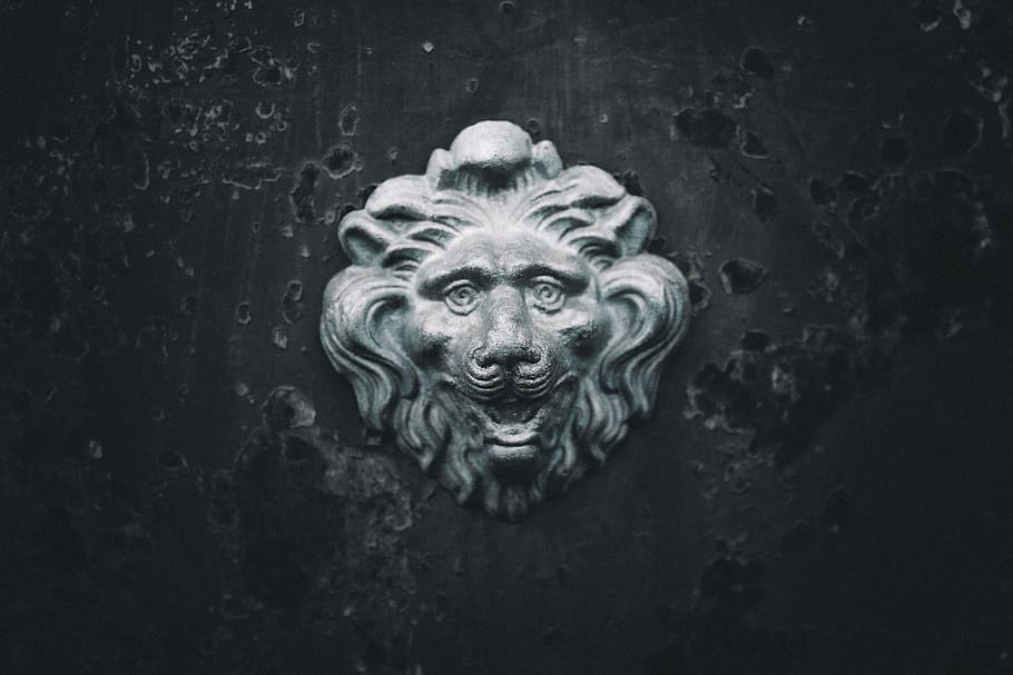 gray concrete lion head decor, gray concrete animal wall-mounted decor HD wallpaper