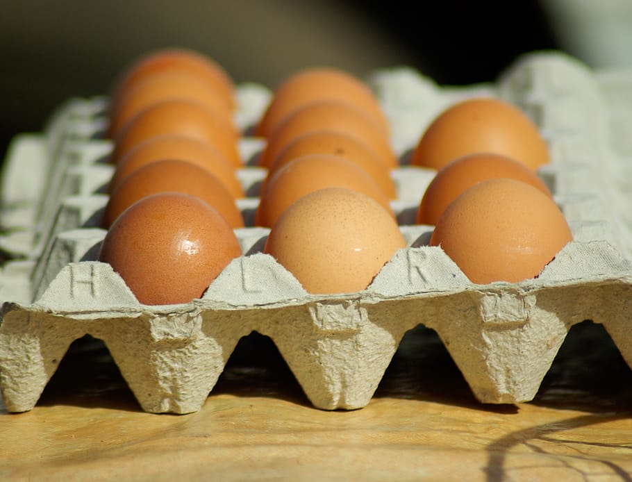 brown eggs in the tray, hens, kitchen, egg carton, food, food and drink HD wallpaper