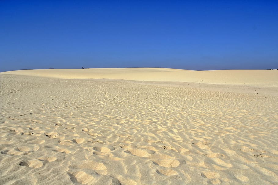 Dunes, Sand, Ocean, Desert, Light, Sun, sky, travel, nature HD wallpaper