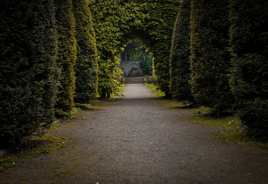 all, trees, park, nature, promenade, footpath, outdoors, direction HD wallpaper
