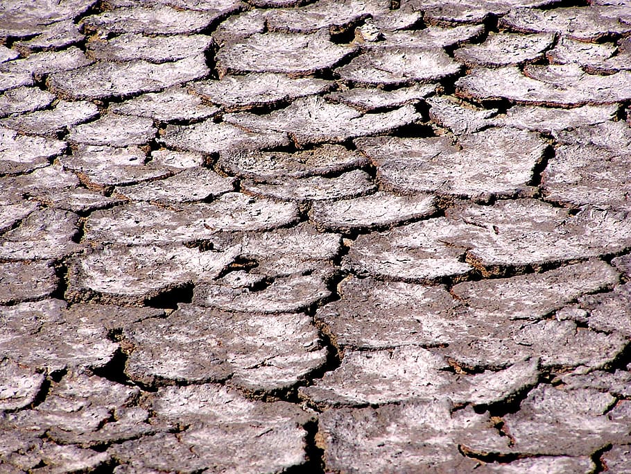 saline, the ground cracked, drought, full frame, backgrounds HD wallpaper